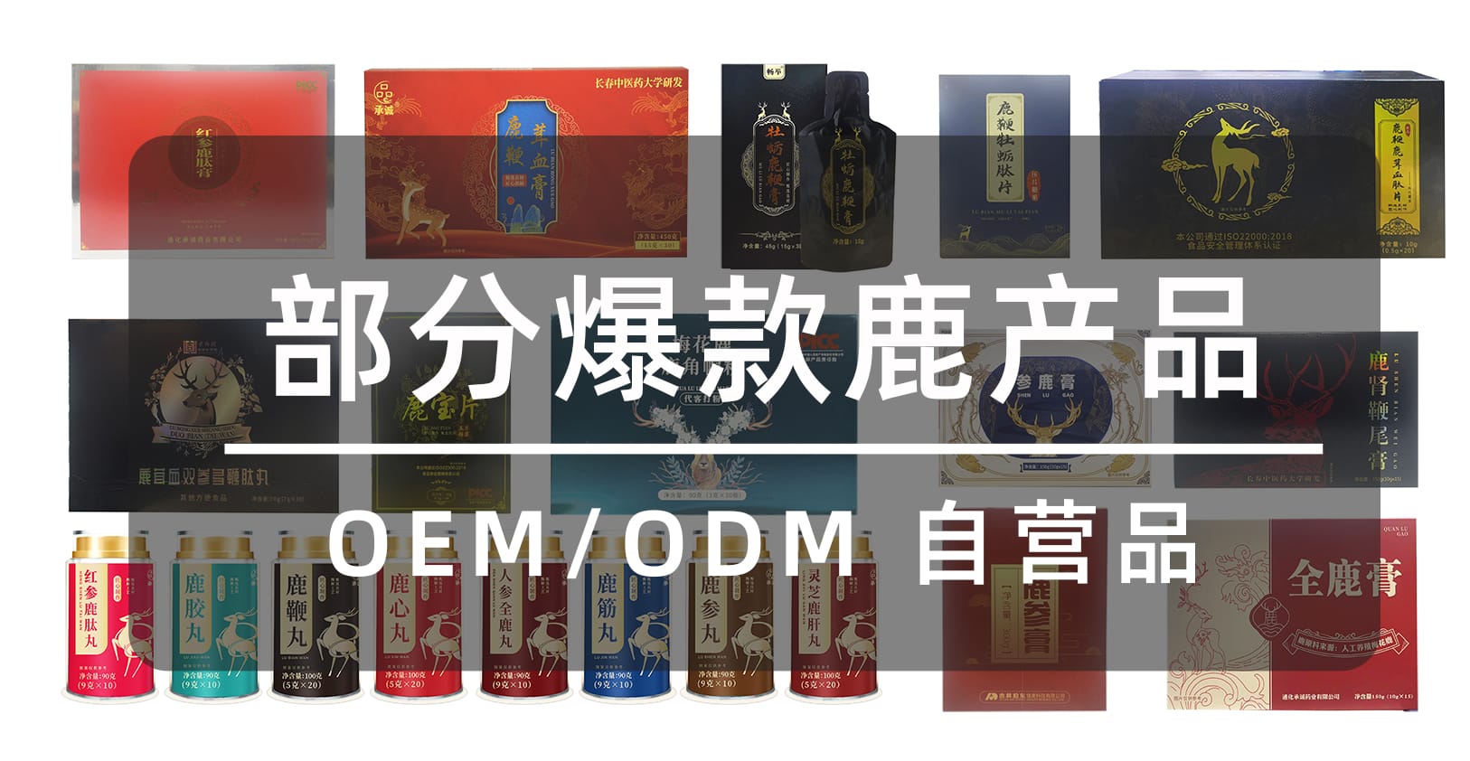 未标题-7.jpg